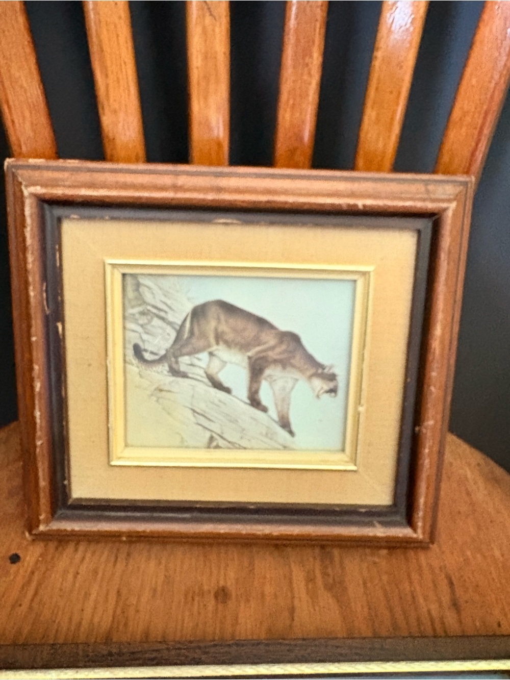 Vintage Glen Loates "Cougar" Framed Wildlife Art Print